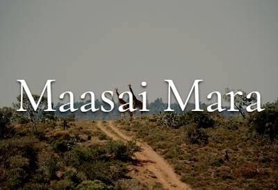 Maasai Mara kenya